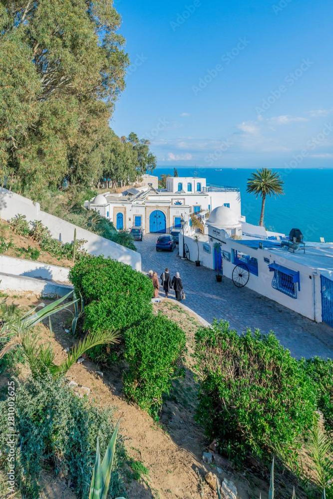 The Blue And White Perle Villa Сиди Бу Саид Екстериор снимка
