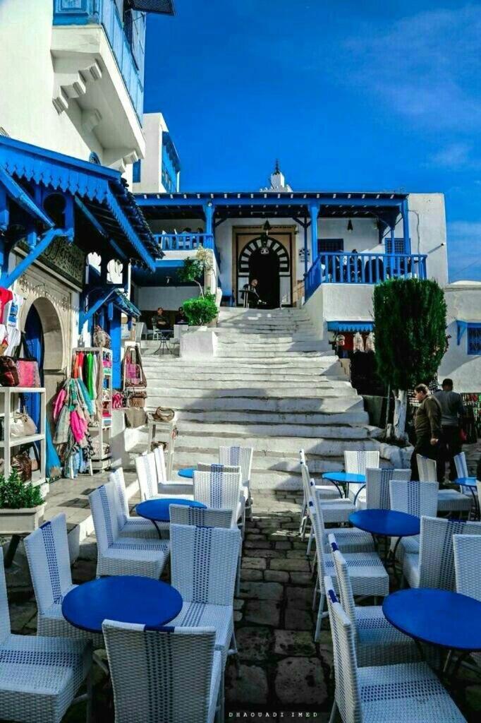 The Blue And White Perle Villa Сиди Бу Саид Екстериор снимка
