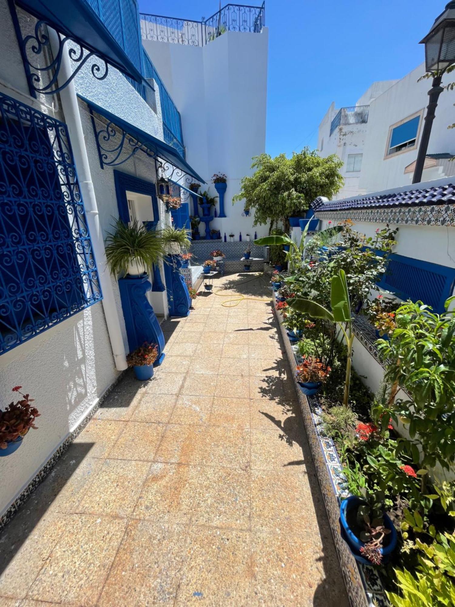 The Blue And White Perle Villa Сиди Бу Саид Екстериор снимка